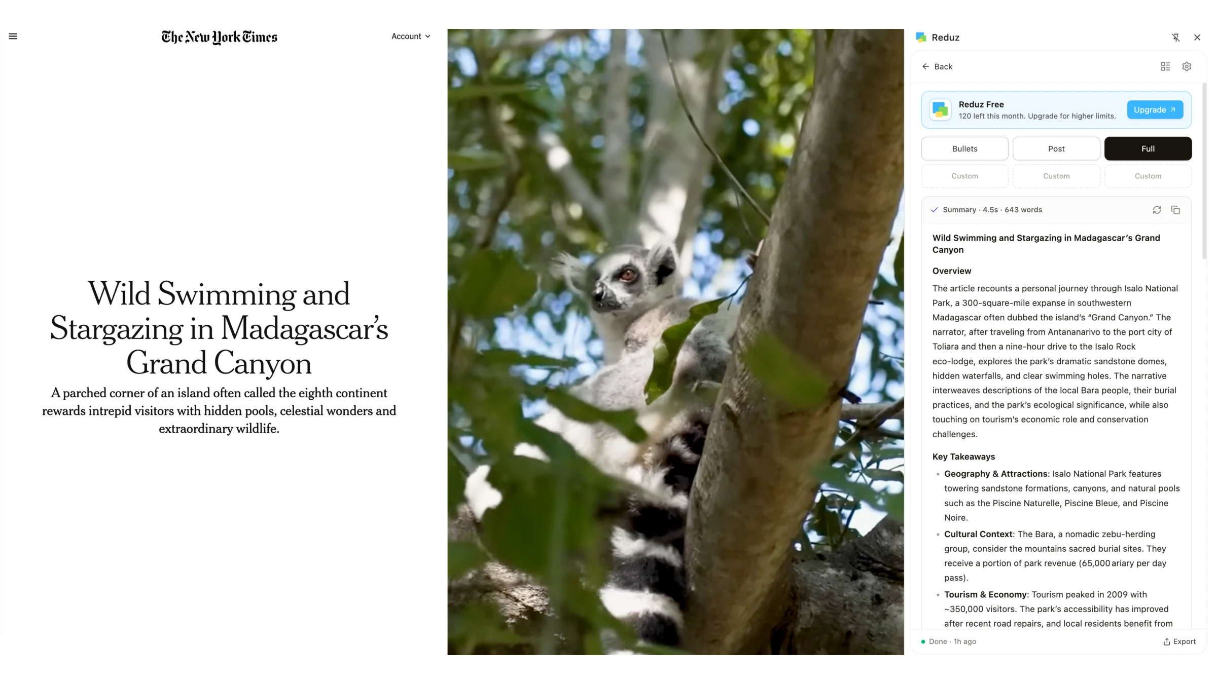 Reduz Chrome extension summarizing a New York Times travel article about Madagascar in a side panel